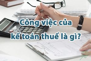 công việc của kế toán thuế