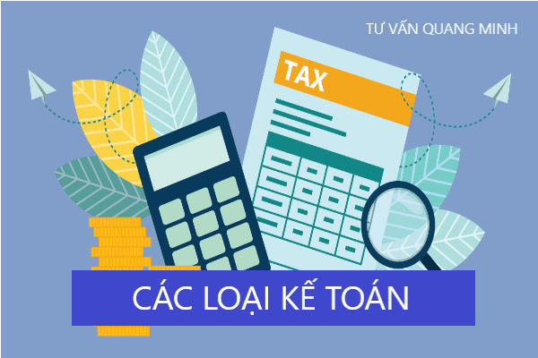 Các loại kế toán quan trọng trong doanh nghiệp