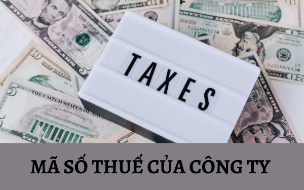 Mã số thuế của công ty – Những điều có thể bạn chưa biết