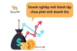 doanh nghiệp mới thành lập chưa phát sinh doanh thu