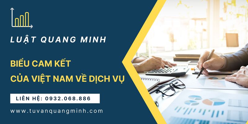 Biểu cam kết của Việt Nam về dịch vụ khi gia nhập WTO